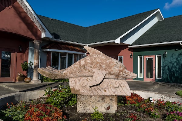 Dolphin fountain at UT Health RGV Primary Care at Laguna Vista.