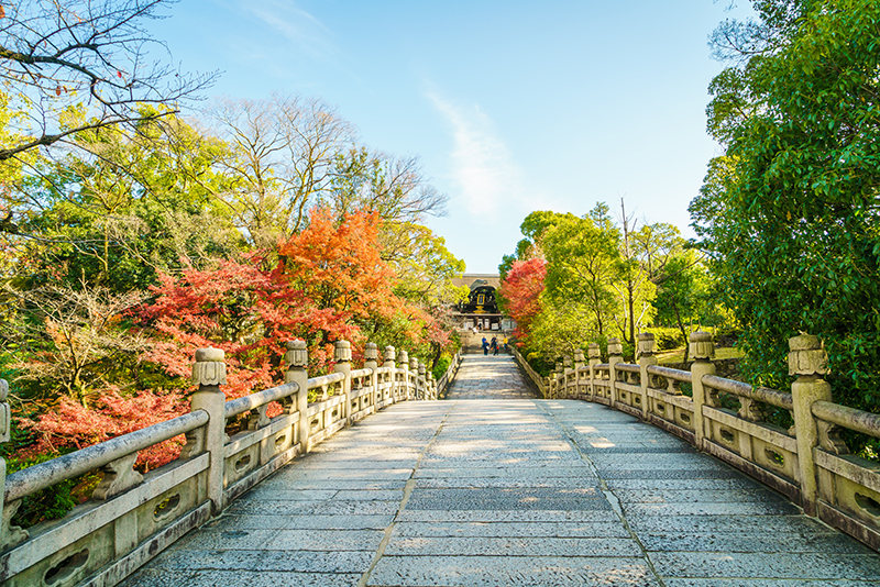 Bridge Morning