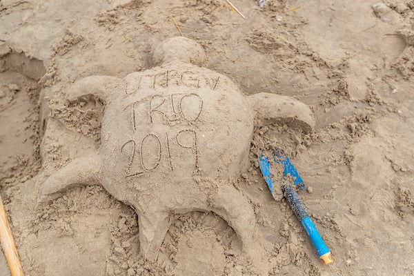 Student created sand-turtle