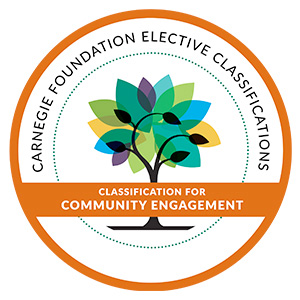 carneige foundation elective classifications