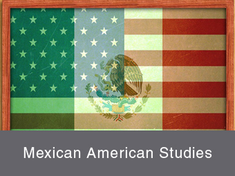 Mexican American Studies Website