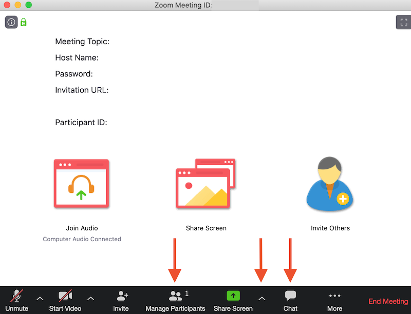 Zoom session screen with Manage Participants and Chat highlighted. 