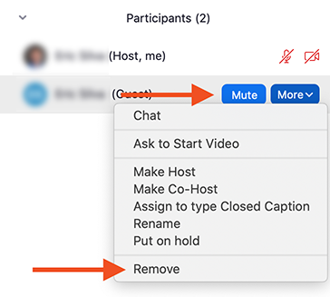 Zoom participants menu displaying the more menu options.