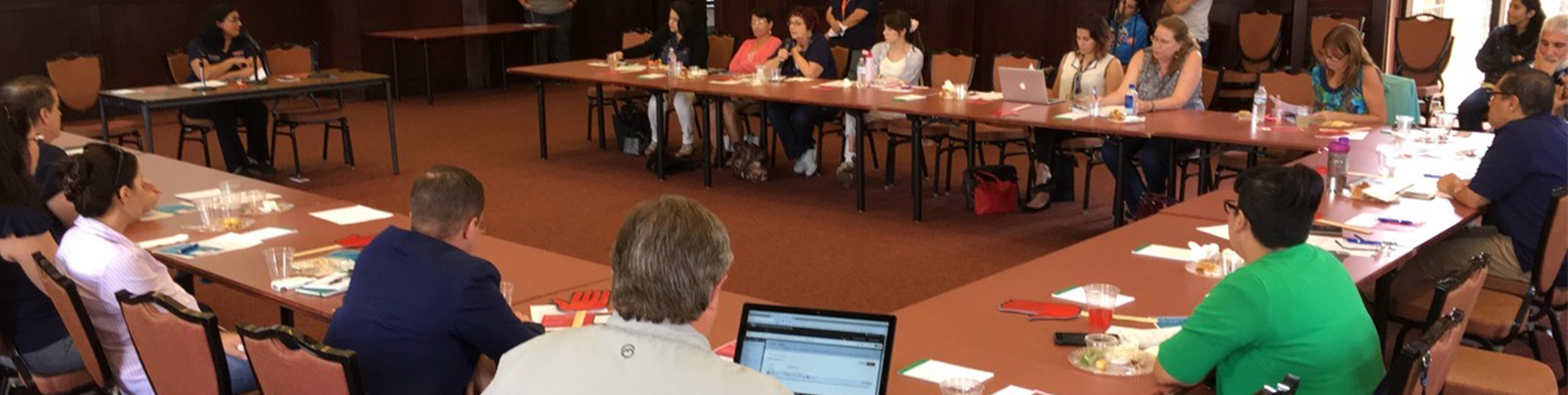 Participants attending the 2017 Online Learning Faculty Round Table