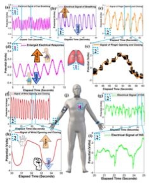 Triboelectric Nano-Device for Human Health Monitoring Including Vocal Cord Characterization
