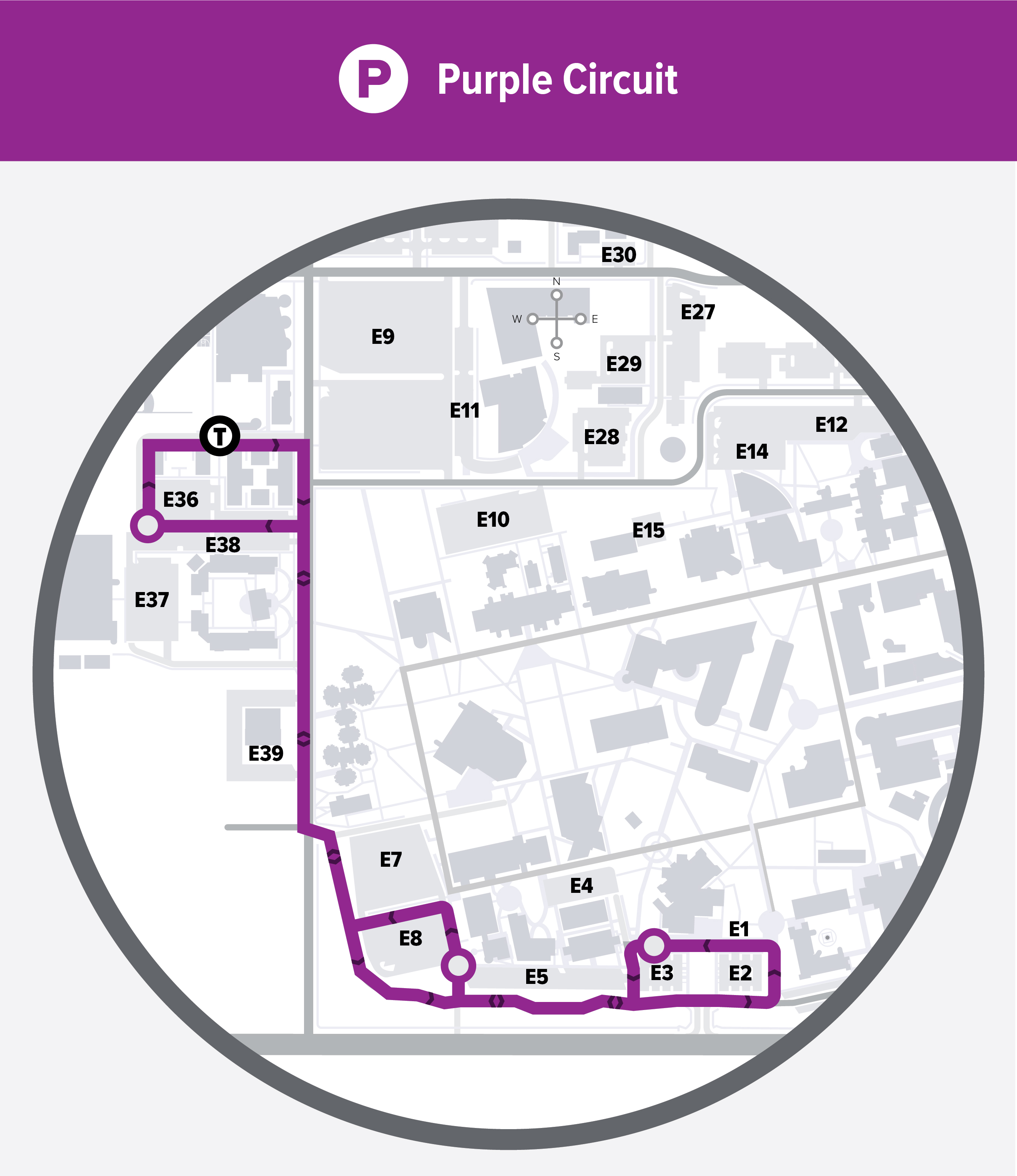 VOLT Purple Circuit