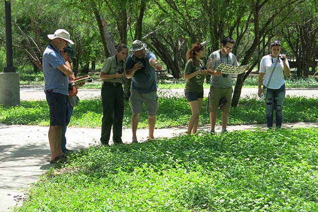 Identifying butterflies at Resaca de la Palma State Park. Photo: JA Mustard