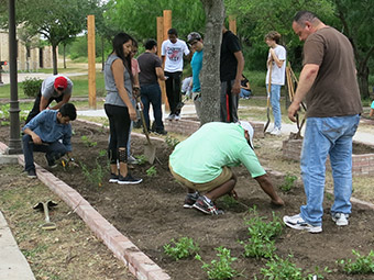 About the Garden 