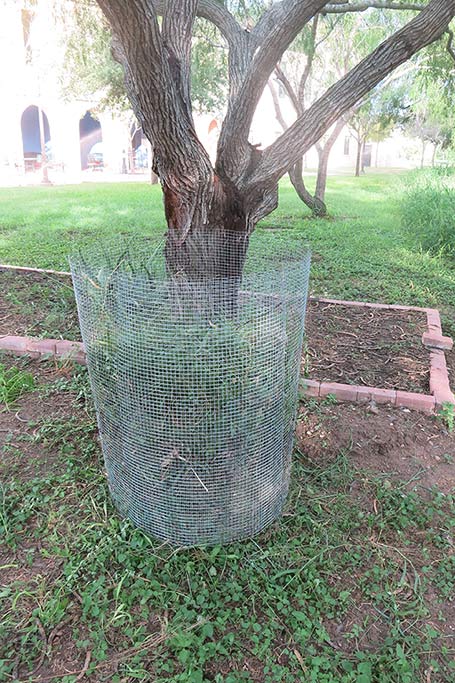 A simple cylinder composter. Photo: JA Mustard