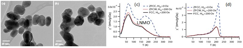 TEM of (a) LNMO and (b) LCMO (c) LNMO and (d) LCMO NPs