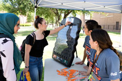 Picnic with the President 2016 - 51