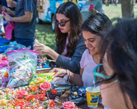 Picnic with the President 2017 - 12