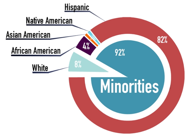 Minorities Graph depicting the percentage of the backgrounds of the participants, whit 8 percent of participants being white and 92 percent of minorities. Of those 92 percent, 82 percent were Hispanic, 4 percent were African American, and a smaller percentage of Native American and Asian American