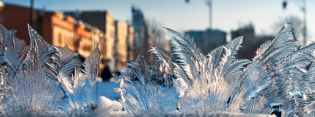 Severe Winter Weather