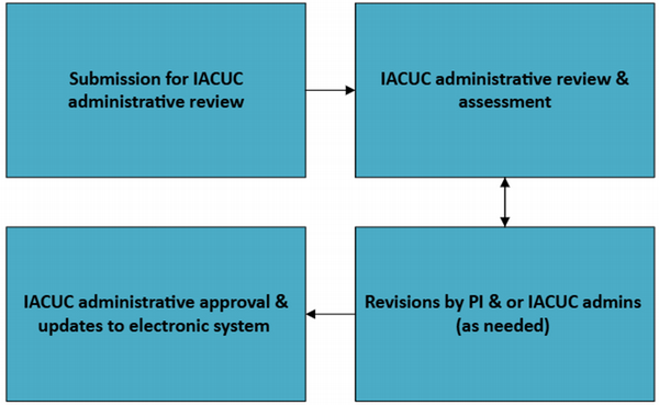 Flowchart showing the IACUC administrative review process.