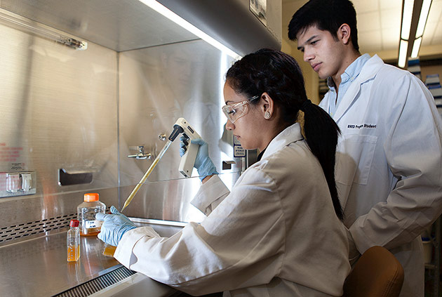 two researchers work in a lab