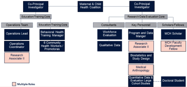 Maternal Health Research Center Operational Structure - see table below for structure information