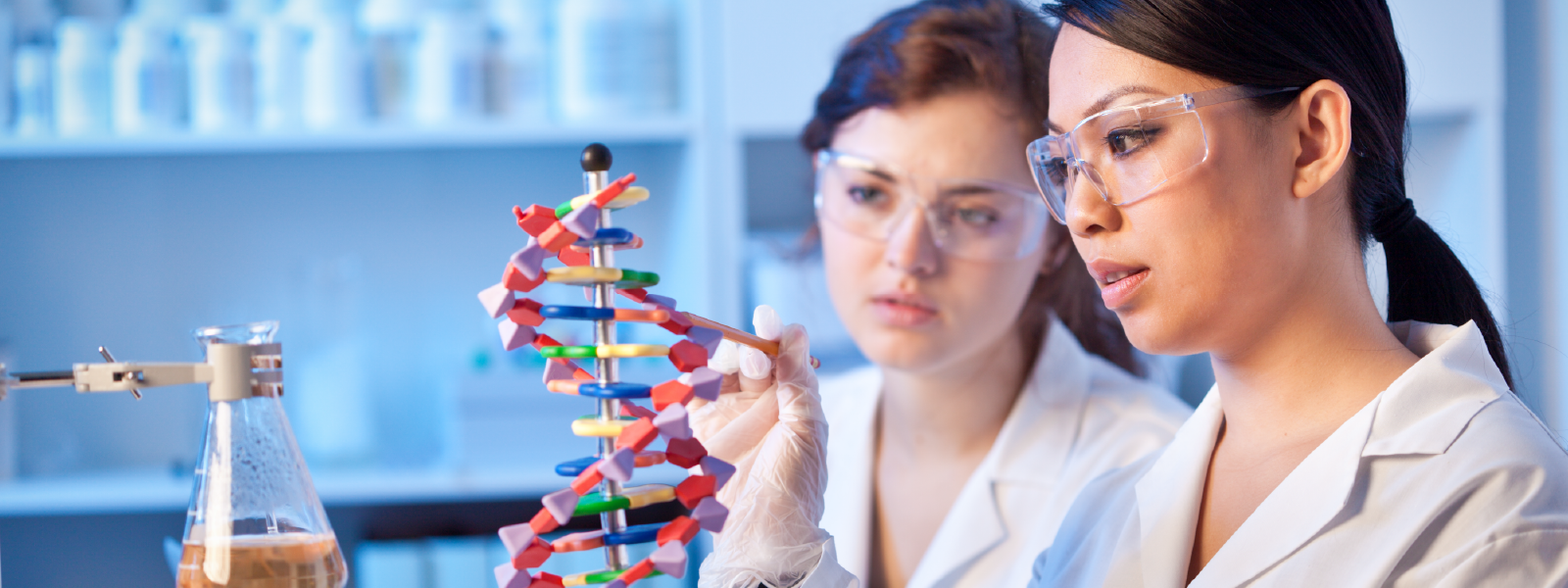 Two scientists in lab coats examine a DNA model.