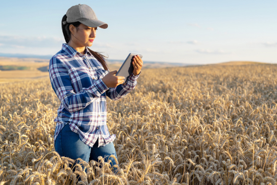 a woman on a wheat field holding a tablet