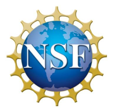 NSF Logo