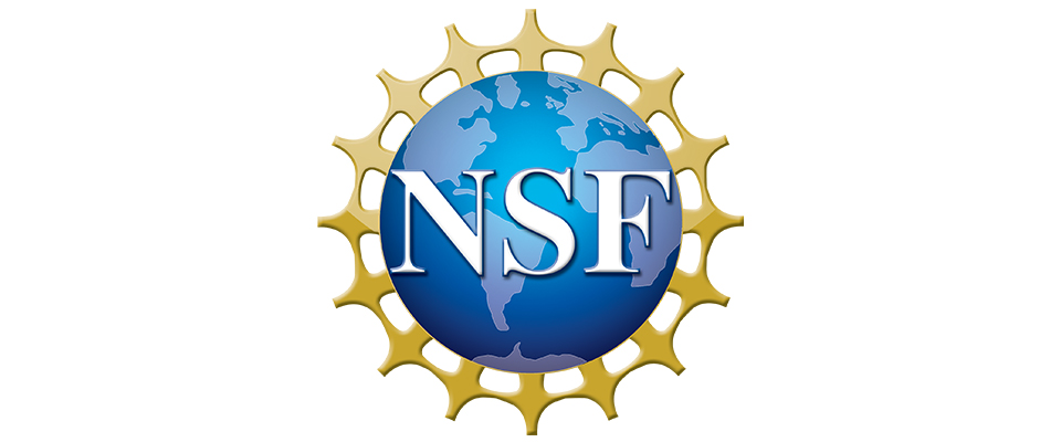 NSF logo