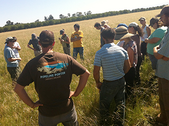 A group of soil science student gather in a field