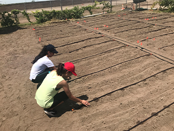 Two soil science students working in a field