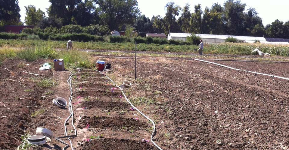 Creation of a soil field