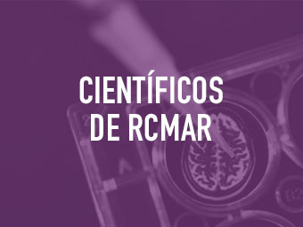 a brain scan in multi well tray used for research experiments in laboratory - rcmar scientist