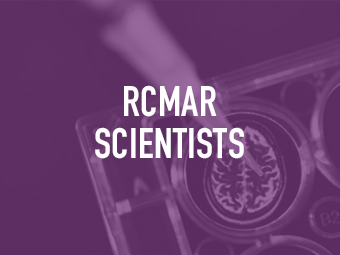 a brain scan in multi well tray used for research experiments in laboratory - rcmar scientist