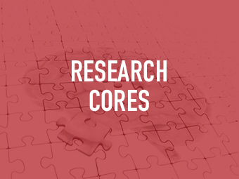brain puzzle pieces - research core