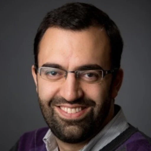 Dr. Maysam Pournik Portrait