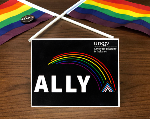 Ally Zone card and two raindbow flags in the background.