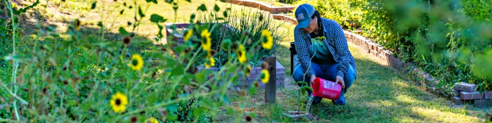 UTRGV Gardening in Brownsville