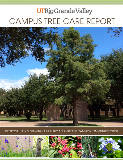 Cover of UTRGV's 2014 Campus Tree Care Report: Proposal for sustaining a healthy and vibrant campus community forest