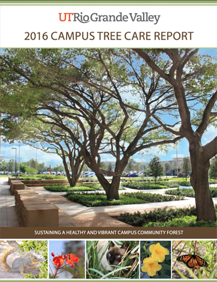 Cover of UTRGV's 2016 Campus Tree Care Report: Sustaining a healthy and vibrant campus community forest