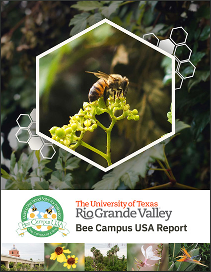 UTRGV 2018 Bee Campus USA Report