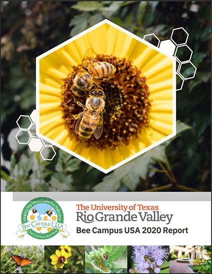 UTRGV 2020 Bee Campus USA Report