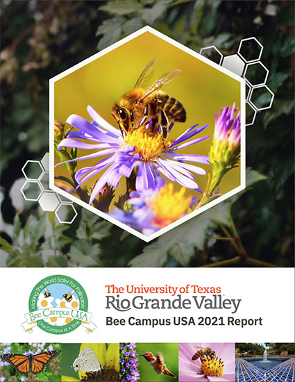 UTRGV 2021 Bee Campus USA Report