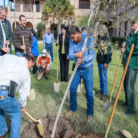 Tree planting on the Brownsville campus