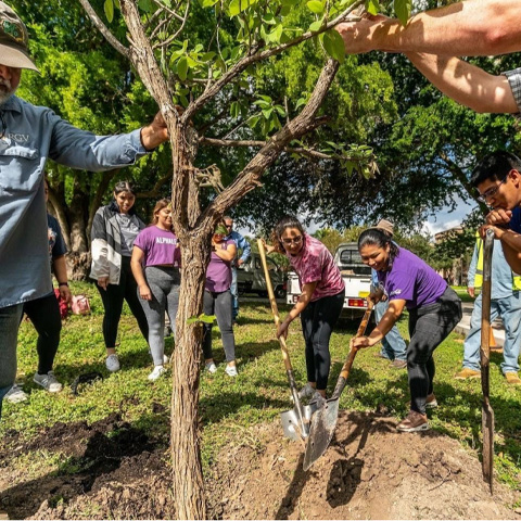 Students planting a tree Photo taken by David Pike