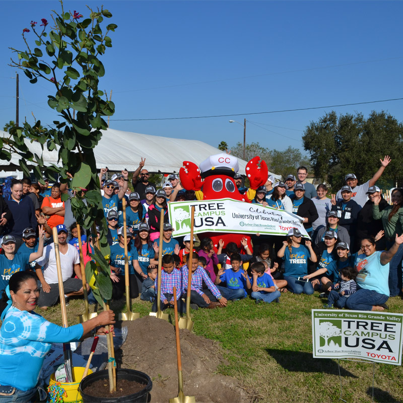 a photo of alot of people with a lobster mascot holding a tree campus designation banner with a University of Texas Rio Grande Valley Tree Campus Designation sign on the grass to the right of a woman next to a tree