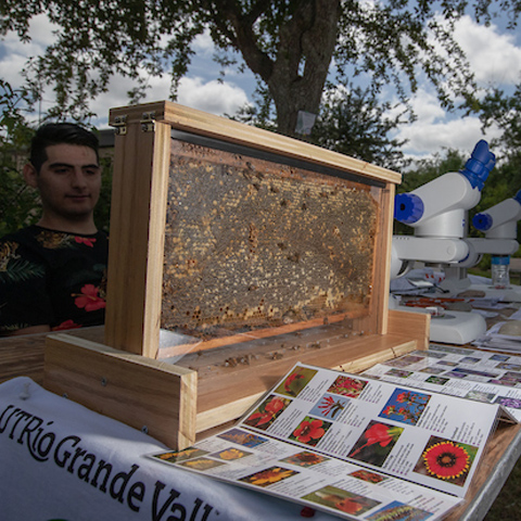 a picture of the bee hive on the bee display table Photo taken by David Pike