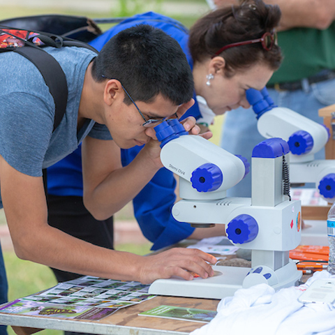 Mrs. Franklin and a male student looking through microscope on the bee display table. Photo taken by David Pike