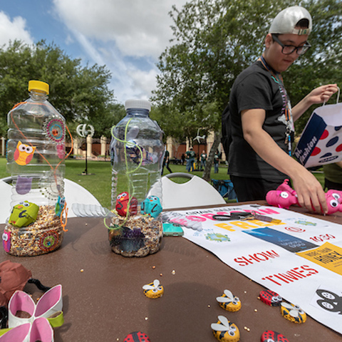 table with small decorative items such as bee and ladybug decorated bottle caps Photo taken by David Pike