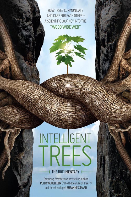 Intelligent Trees