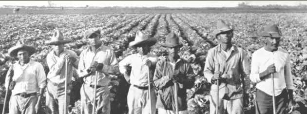 Seven farmworkers posing for picture leaning on their pitchforks in front of a field in the Rio Grande Valley
