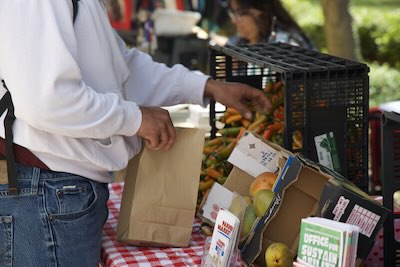 student reaching out to purchase fresh produce at a farmer's market hosted at UTRGV