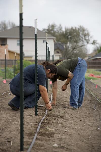 two student volunteers kneel to garden in fresh soil with stakes for tomato seedlings at prosperity farm