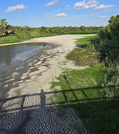 UTRGV Brownsville resaca dried up